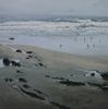 Playa y gaviotas