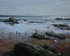 Playa con gaviotas y piedras